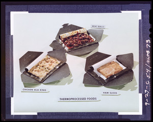 Thermoprocessed foods