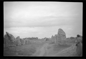 Part of the stone alignment, Carnac, Brittany, France