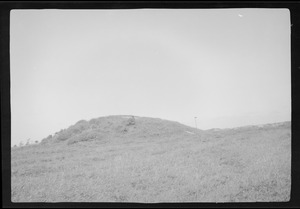 Scene possibly from Carnac