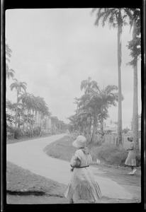 Demerara, Georgetown, British Guiana, S. A., road to the Diamond sugar plantation
