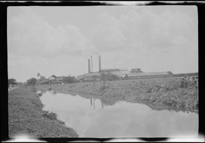 Demerara, Georgetown, British Guiana, S. A., a sugar plantation, note workers in the field