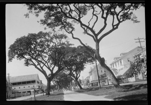 Main Street, Demerara, Georgetown, British Guiana, S. A.