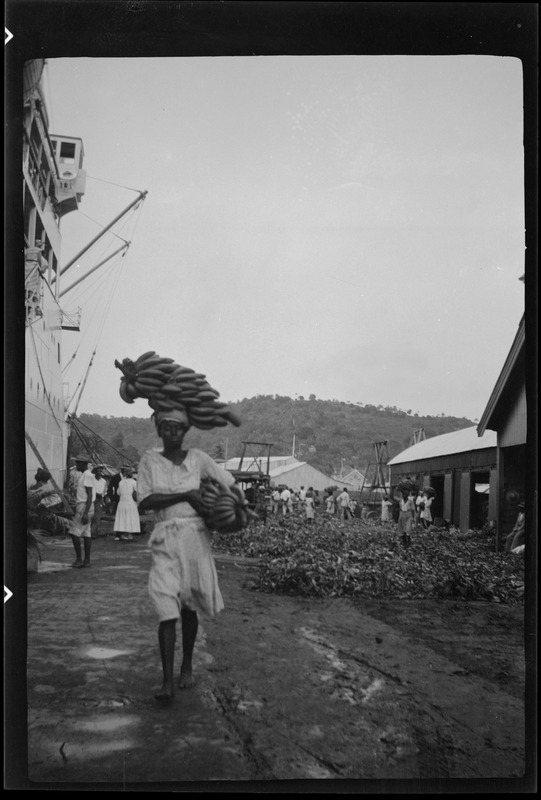 St. Lucia, B. W. I., girls loading bananas for U. S. A., salary a penny for each stalk or bunch