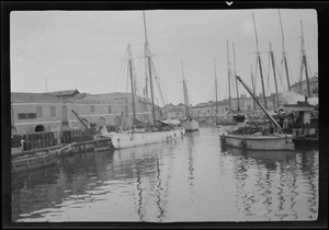 The harbor, Bridgetown, Barbados, B. W. I.