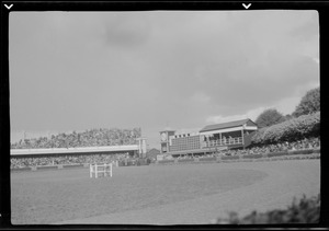 Horse race