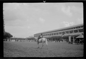 Horse race
