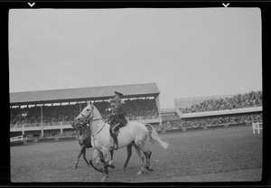 Horse race