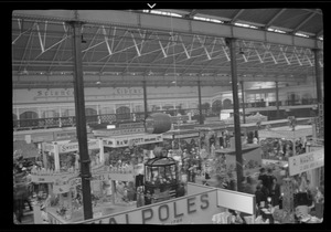 Exhibition, possibly at Dublin Horse Show