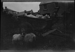 Market Day at Carndonagh, Co. Donegal, a rainy day