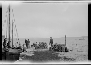 Kilronan, Inishmore, Aran Islands, loading kelp for France