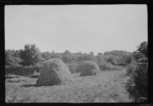 Ireland, haystacks