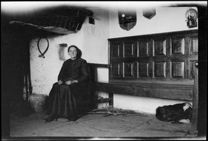 Drinagh, Dunmanway, Co. Cork, Ireland, Mrs. Ellen Hurley sitting by the hearth, with the nice old settle and the dog