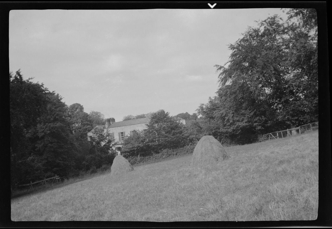 "Dun Emer," seen through the trees from the hay field Digital