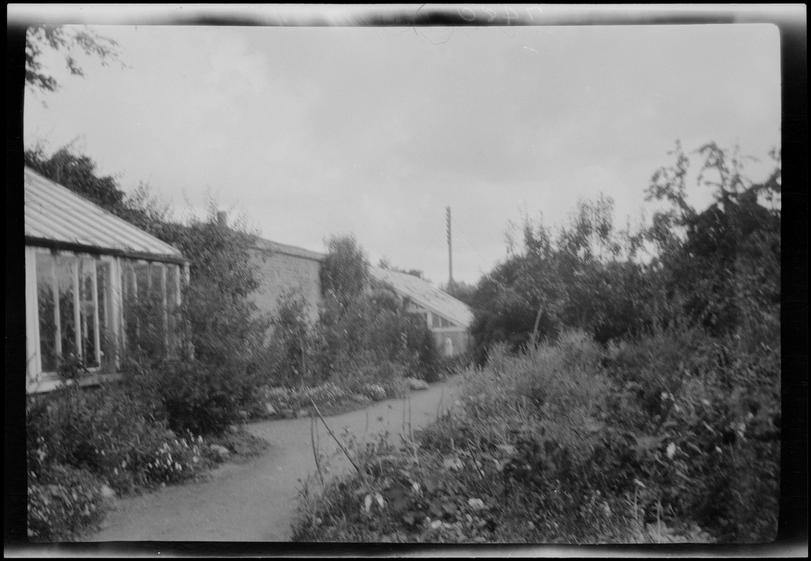 Garden of Dun Emer, Dublin