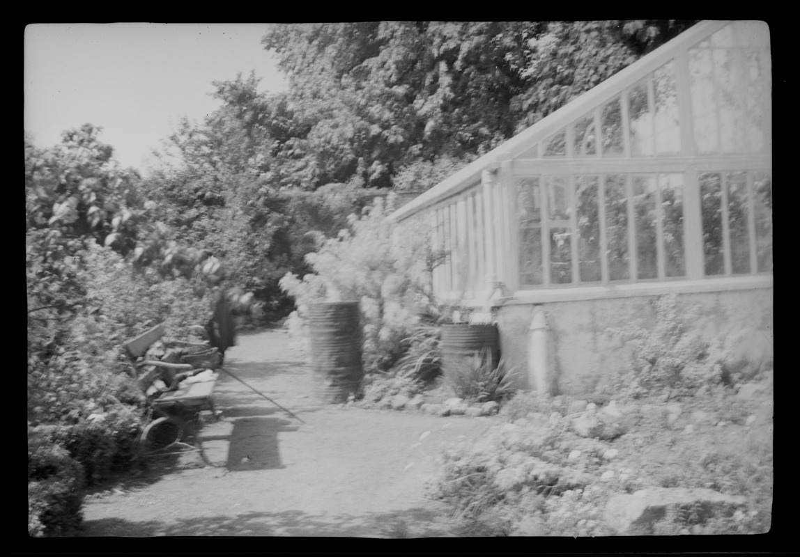 Garden of Dun Emer, Dublin