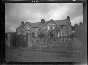 Ballyvourney, Co. Cork, the schoolmaster's house, pampas grass at the entrance grass