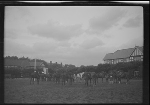 Dublin Horse Show