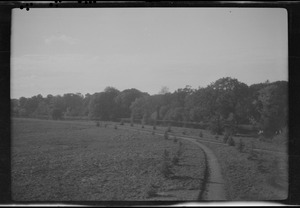 Grounds at Moore Abbey, Monasterevan, Co. Kildare