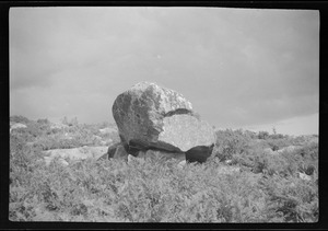 Cromlech at Kilternan, Co. Dublin, Dublin