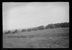 Tara Hill