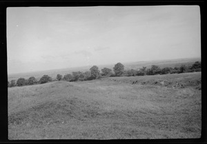 Tara Hill