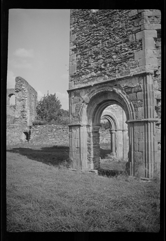 Mellifont Abbey