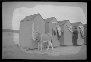 Kilkee, Co. Clare, Ireland, the "bathing boxes" on the Strand and the donkey that drags them down and up again