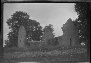 Monaincha Abbey, Roscrea, Co. Tipperary