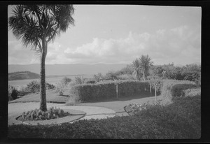 Parknasilla, Co. Kerry, gardens of the Great Southern Hotel