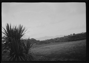 Parknasilla, Co. Kerry