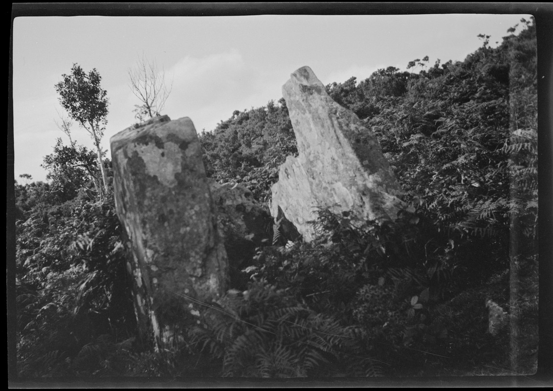 Dolmen, Rathmullan, Co. Donegal