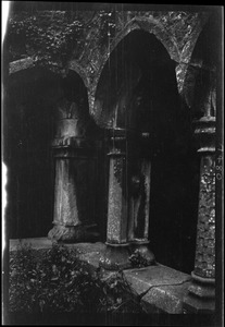 Sligo Abbey, columns in the cloister