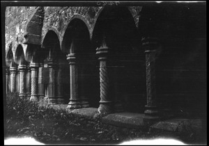 Sligo Abbey, columns in the cloister, note variety of pattern on the shaft and variety in the design base
