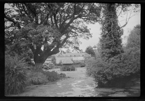 Entrance to the Japanese Garden, Kildare, Ireland