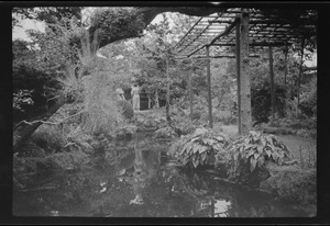 The Japanese Garden, Kildare