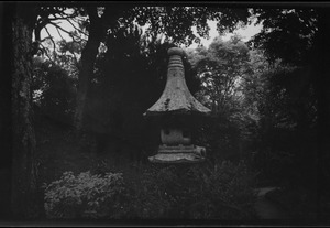 The Japanese Garden, Kildare
