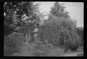 The Japanese Garden, Kildare