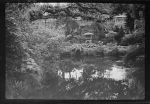 The Japanese Garden, Kildare