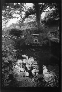 The Japanese Garden, Kildare