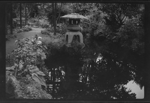 The Japanese Garden, Kildare