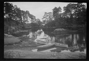 The "Blue Pool," Glengarriff, Co. Kerry [i.e. Cork]