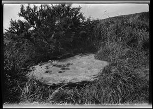 Glenveigh [i.e. Glenveagh], Co. Donegal, stone on which St. Columba is said to have been born