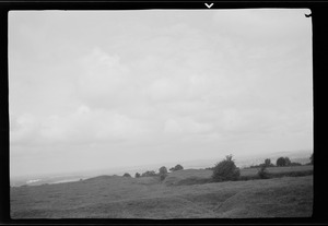 Field of Tara