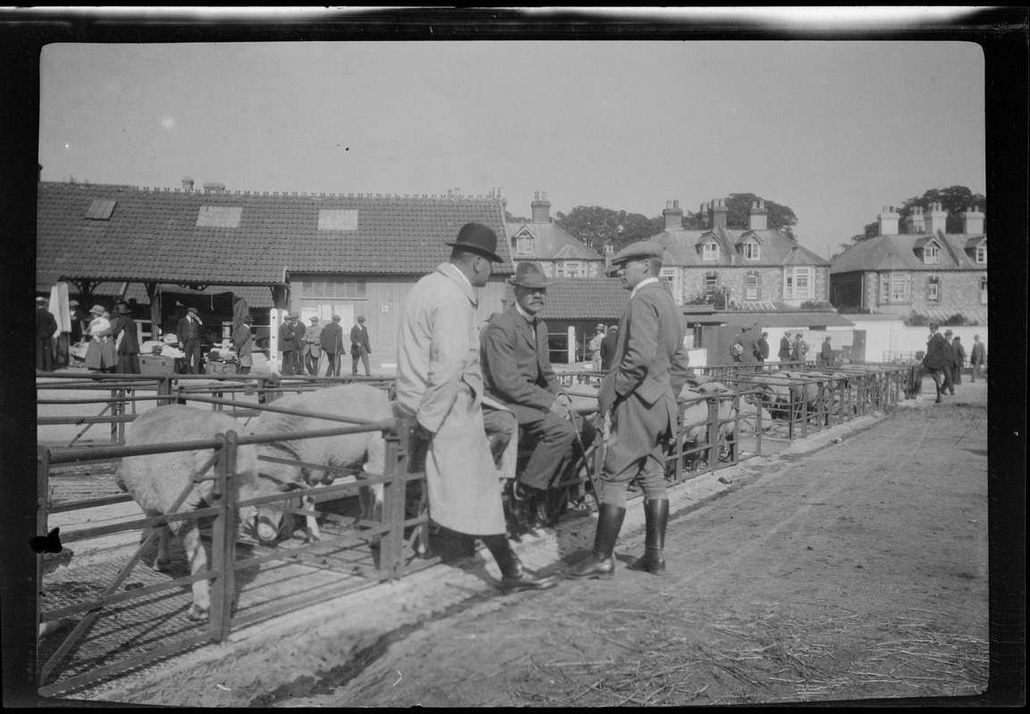 The cattle market at Thurles