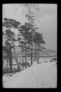 Ireland in the snow