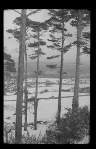 Ireland in the snow