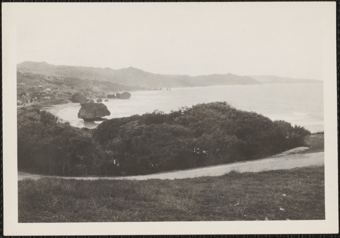 Bathsheba, Barbados, B. W. I., the beach, manchineel trees in the foreground along the shore