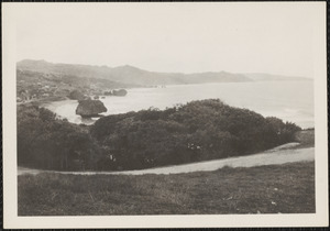 Bathsheba, Barbados, B. W. I., the beach, manchineel trees in the foreground along the shore