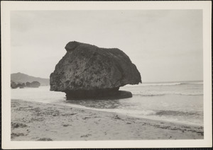 Bathsheba, Barbados, B. W. I., one of the big rocks along the beach