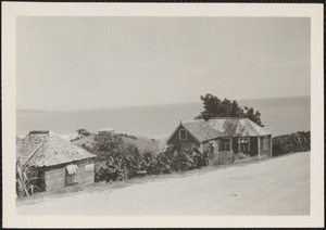 Bathsheba, Barbados, B. W. I., the road leading to the Beachmount Hotel, typical houses of the native colored population